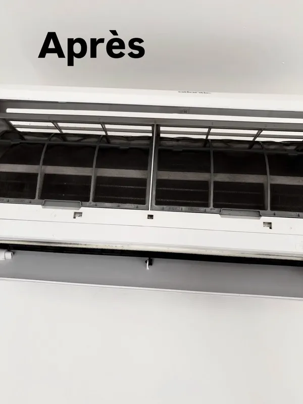 Même filtre de climatisation, propre après nettoyage vapeur